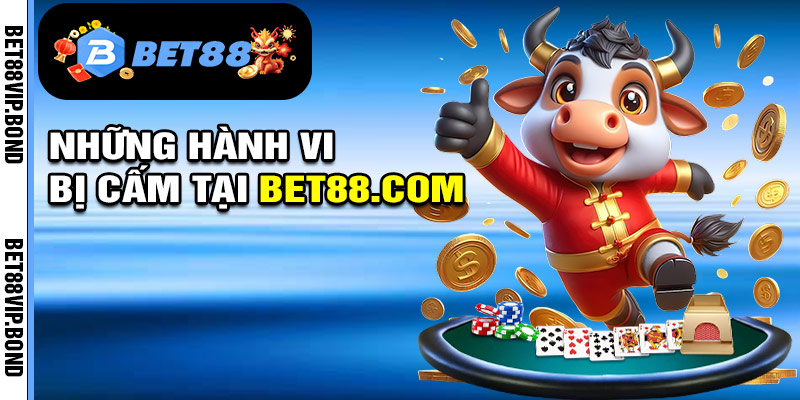 Những hành vi bị cấm trong điều khoản dịch vụ bet88